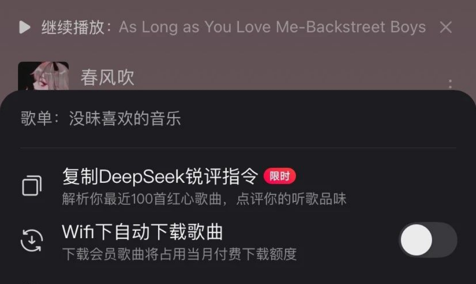 网易云音乐DeepSeek锐评指令点评你的听歌品味
